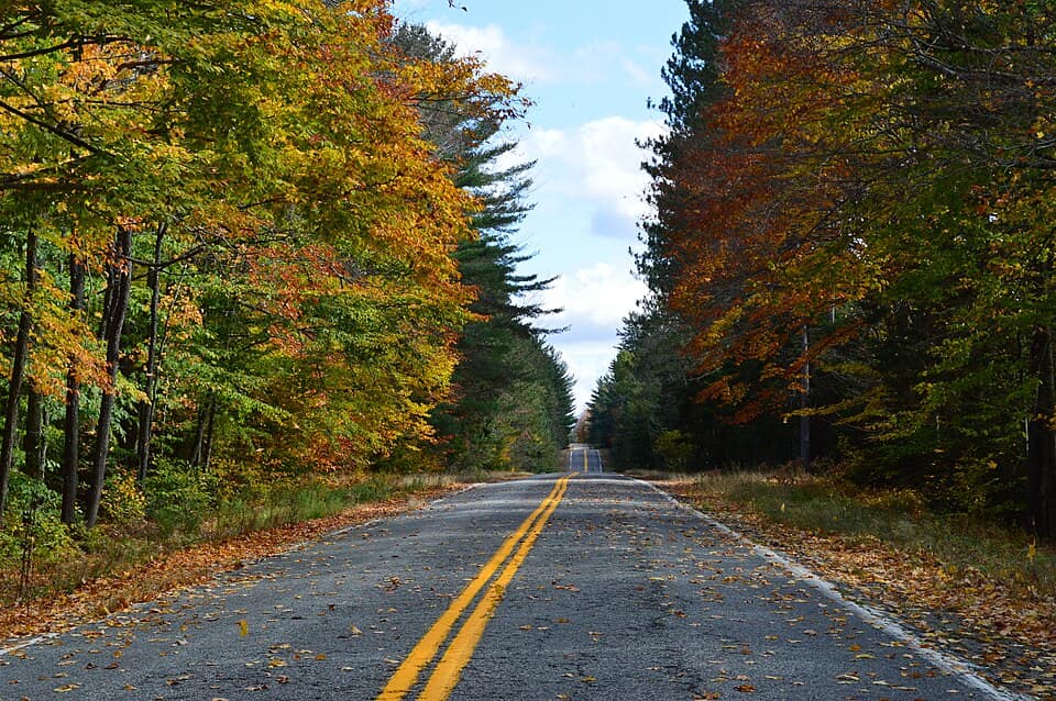 Autumn Road - panoramio
