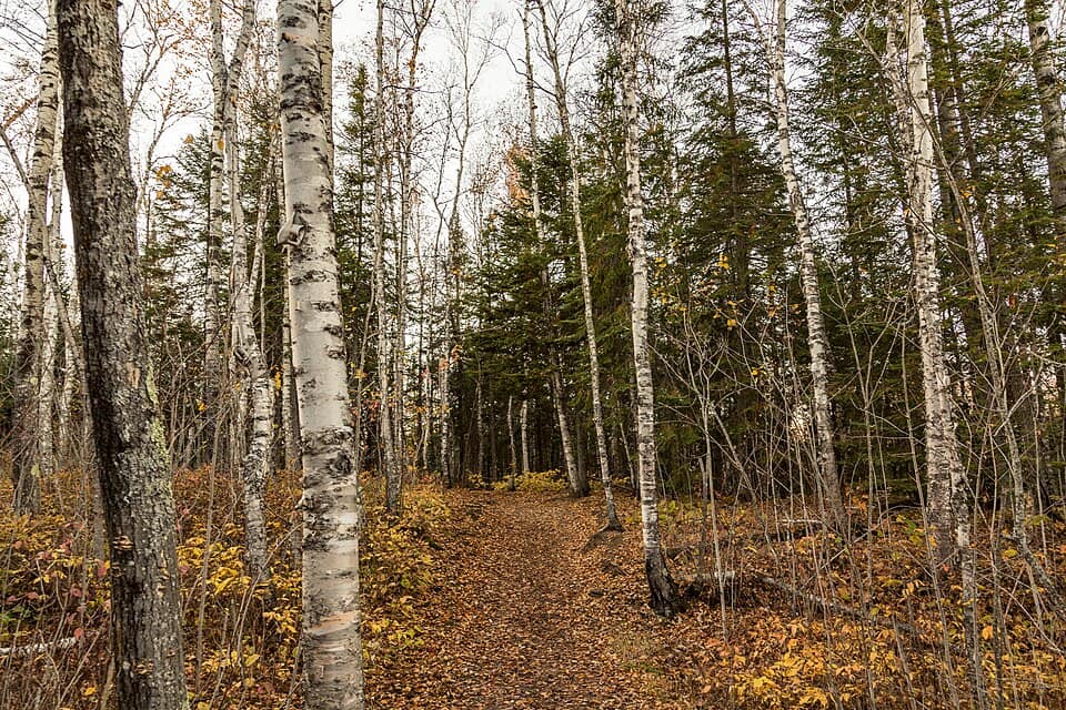Superior Hiking Trail Autumn - Tettegouche State Park, Minnesota