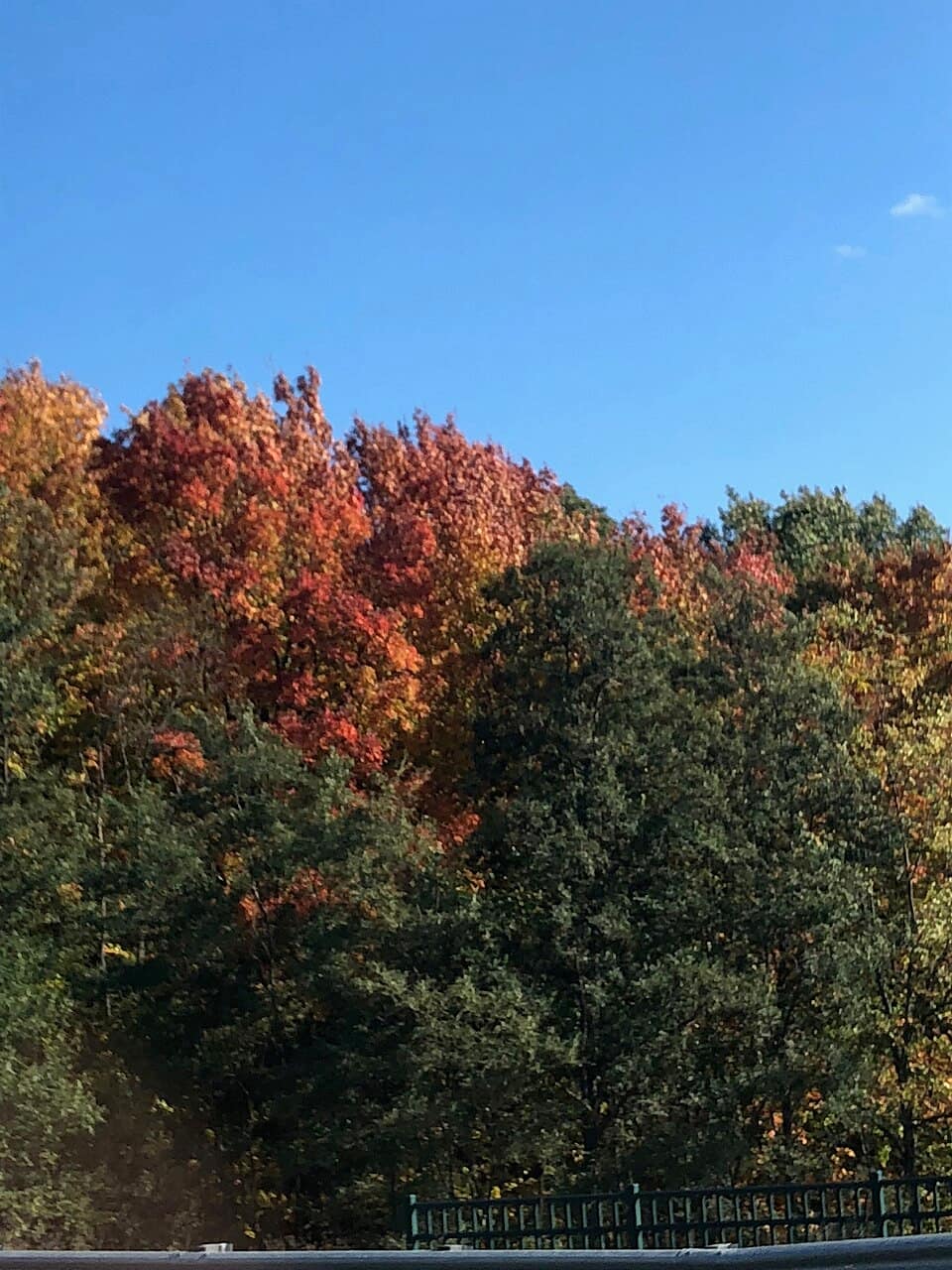 Fall Colors in Traverse City