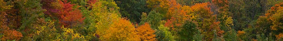 Brown County State Park banner Fall colors