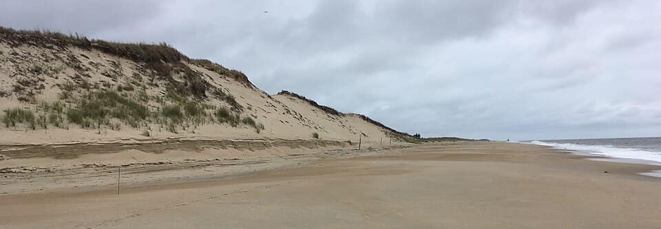 Beach at Cape Henlopen State Park in Delaware USA