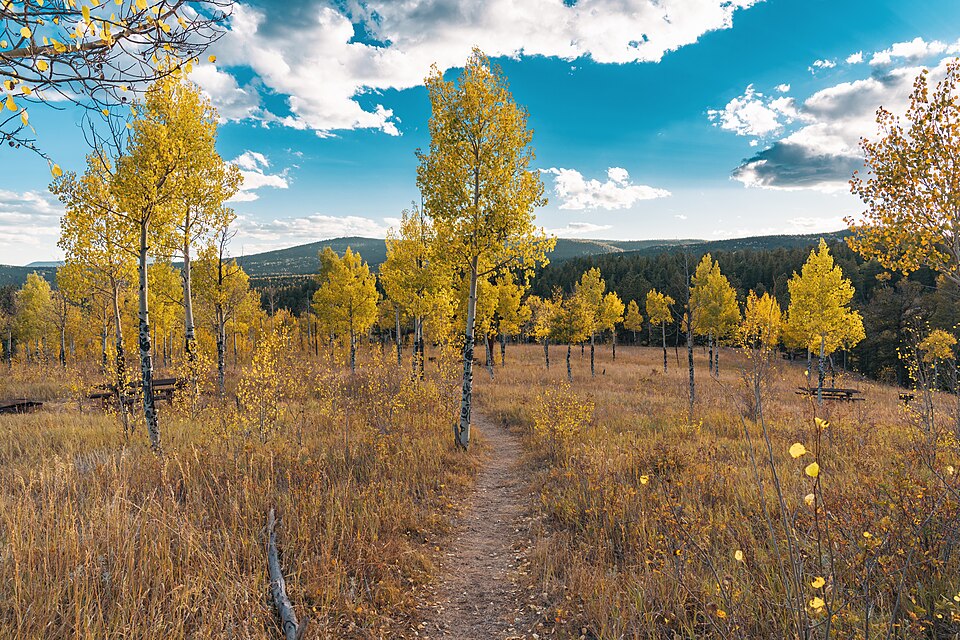 Autumn at Golden Gate Canyon State Park, Colorado Mountains
