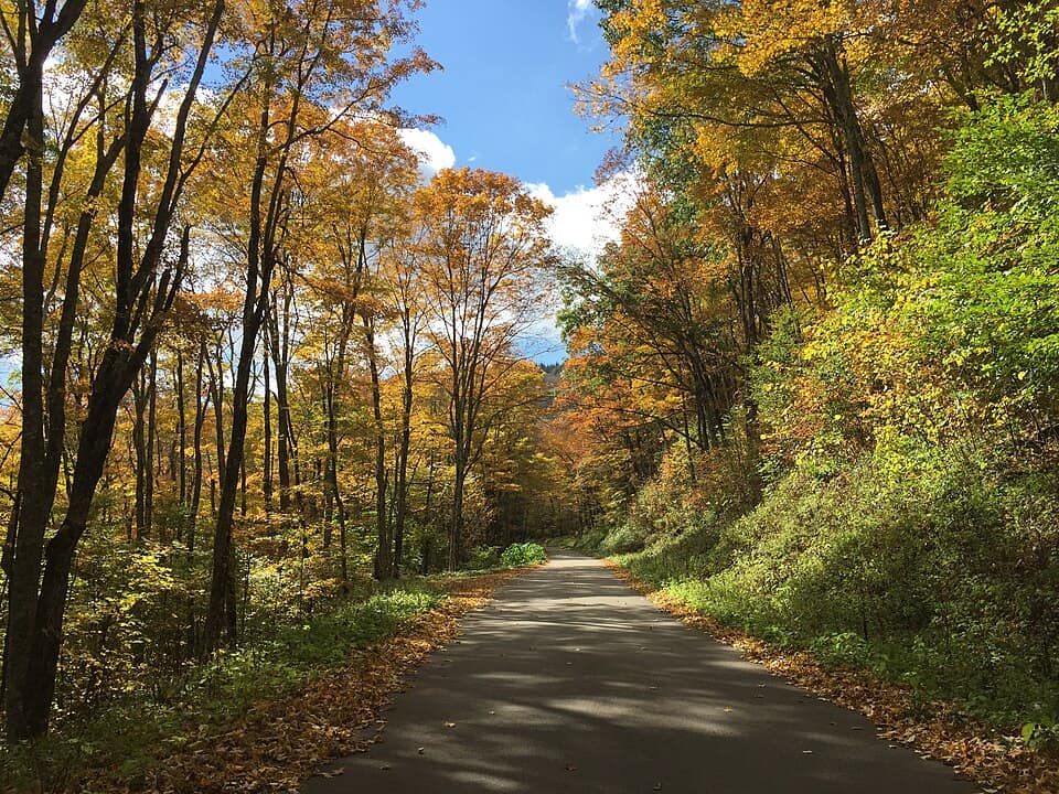 2015-10-07 12 33 09 View west along National Forest Road 112 in the Spruce Knob-Seneca Rocks National Recreation Area in Pendleton County, West Virginia