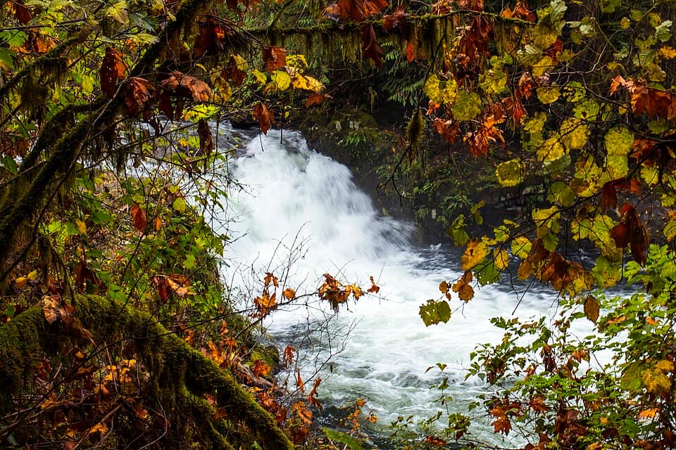 Sweet Creek Waterfalls, Oregon