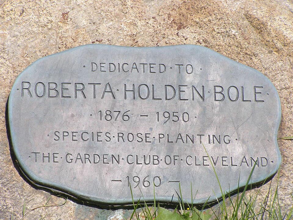Bole Dedication P7010488