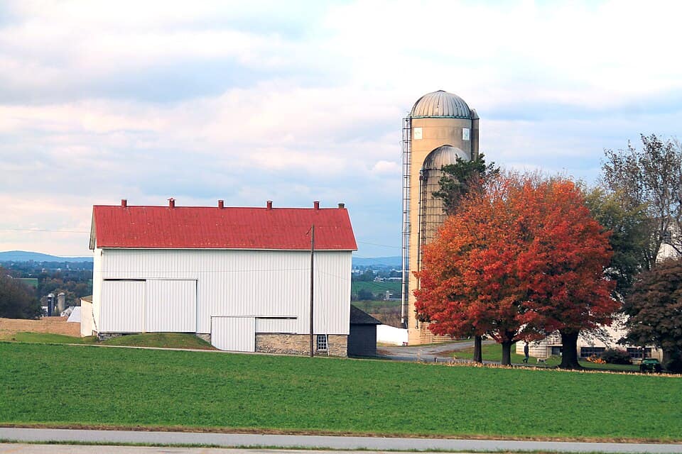 Amish Autumn