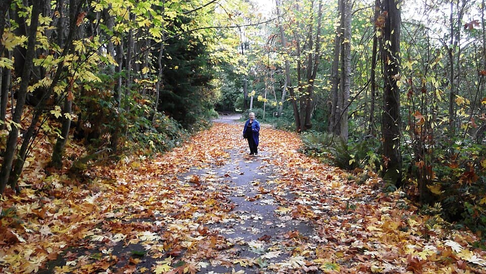 Fall is here - Flickr - brewbooks