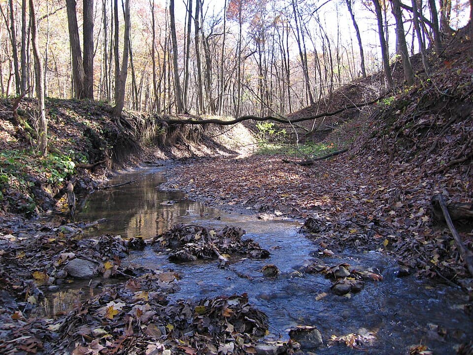 Black Partridge Park - panoramio (2)
