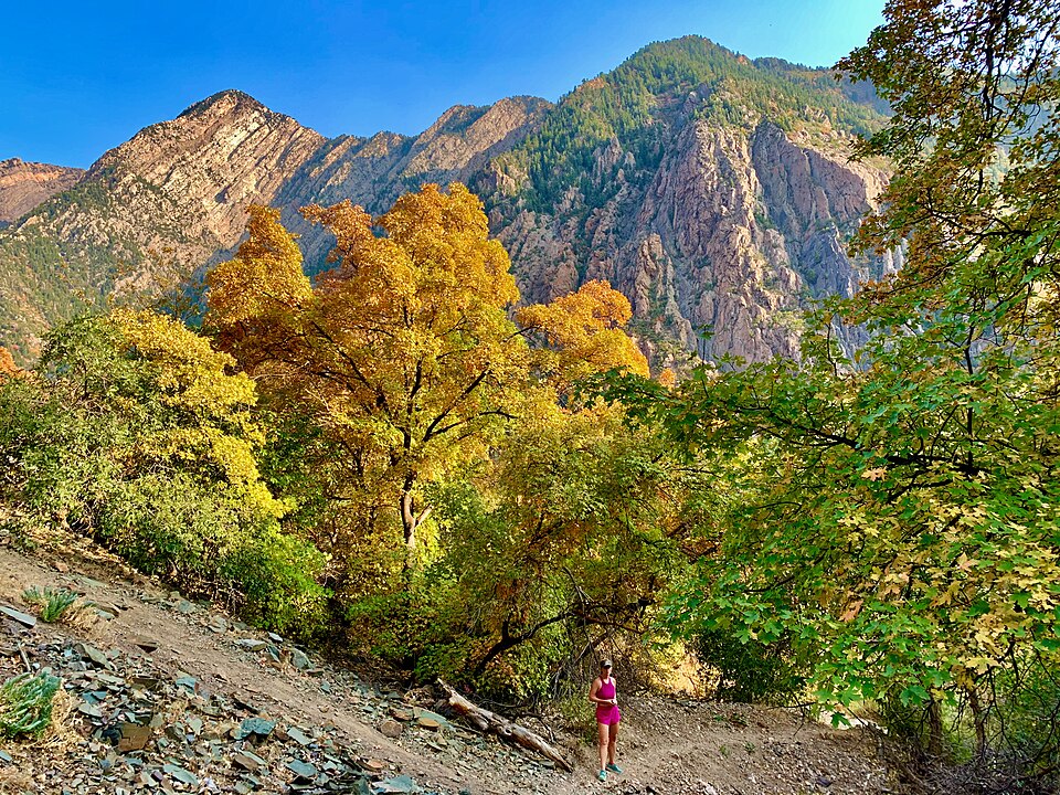 Hiking Big Cottonwood Canyon (50364605283)