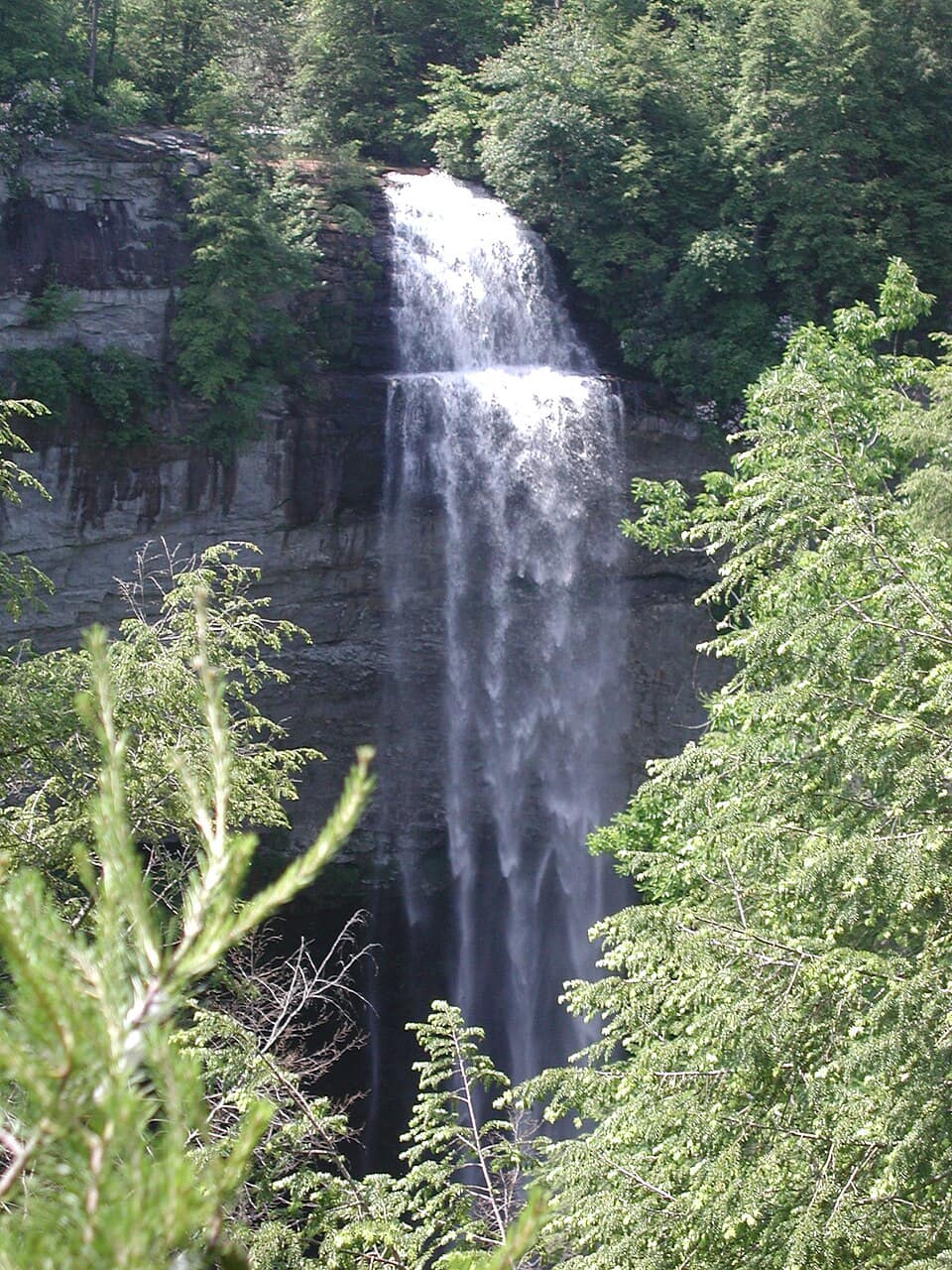Fall creek falls 2003