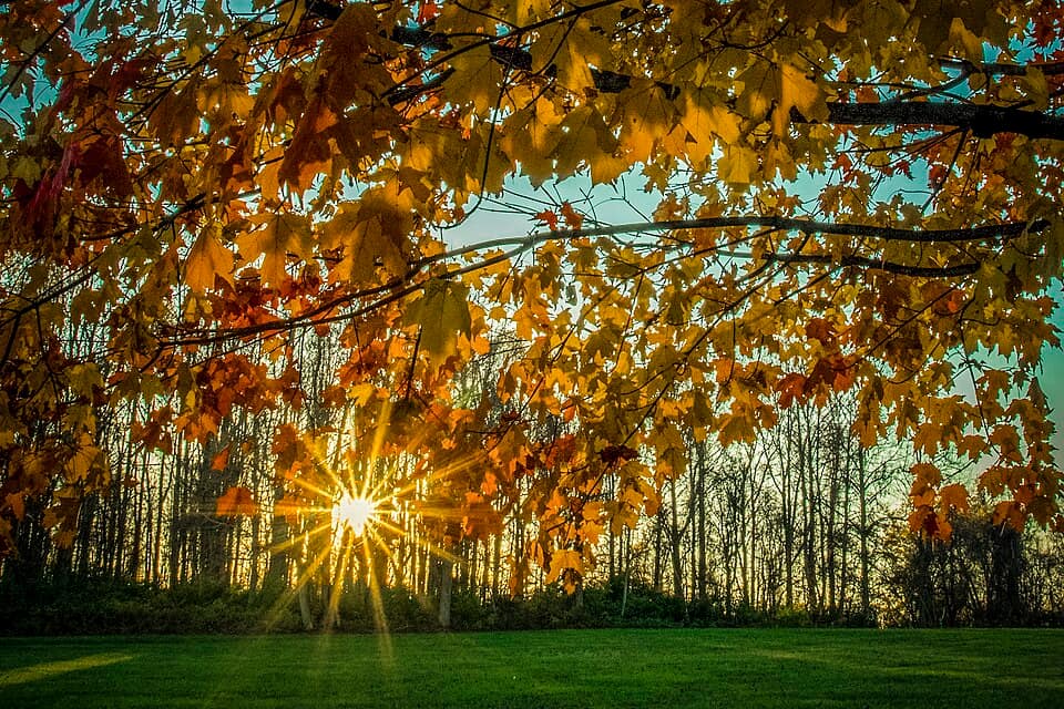 Ridley Creek State Park at sunrise in Pennsylvania, U.S.A