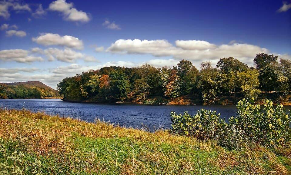 Flickr - Nicholas T - Floodplain