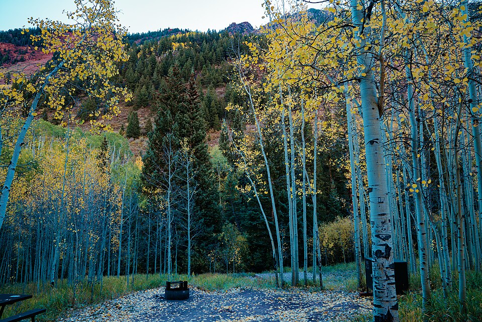 Autumn at Silver Queen Campground, Maroon Bells, Colorado (45113273842)