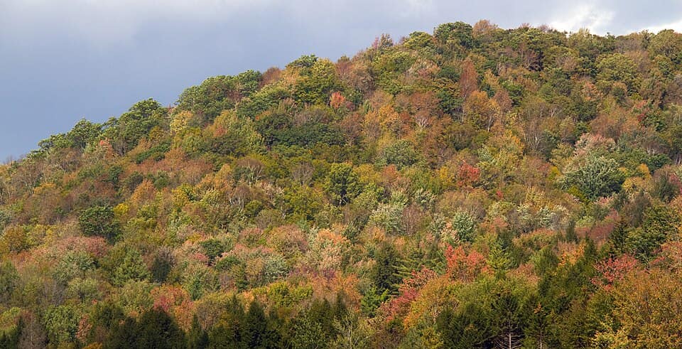 Multi-coloured hillside Vermont Route 100