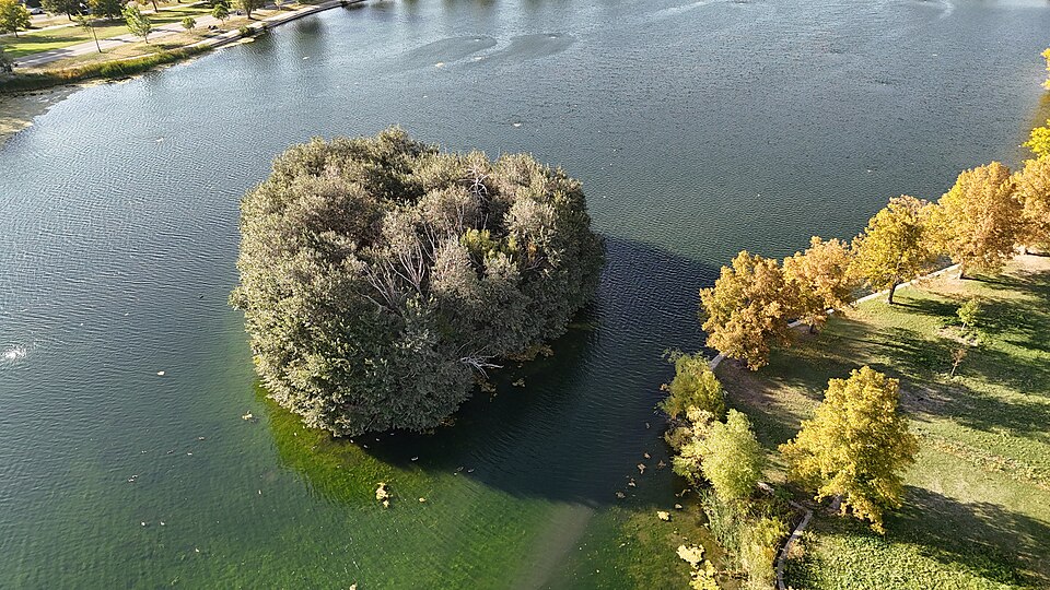 Monkey Island, Denver, Colorado - September 30, 2024 (54034284200)