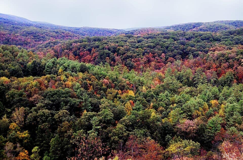 Green Ridge View - panoramio