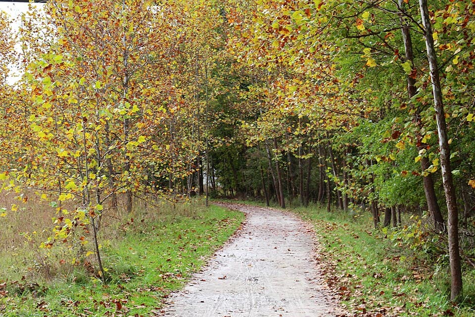 Towpath Trail