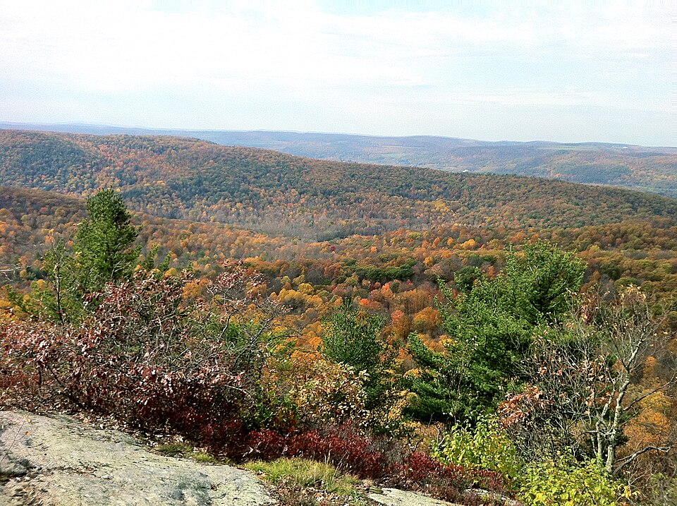 Macedonia State Park's Cobble Mountain summit with Catskill Mountains in background