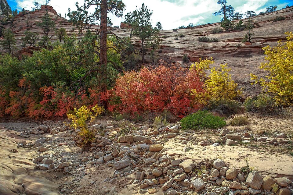 Autumn colours in SW Utah - a short visit to Zion Park on Hwy 9, Utah -