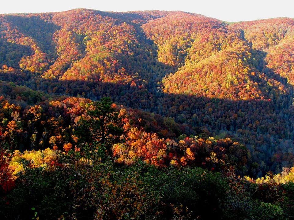 Fall colors at Mountain Bridge Wilderness Area