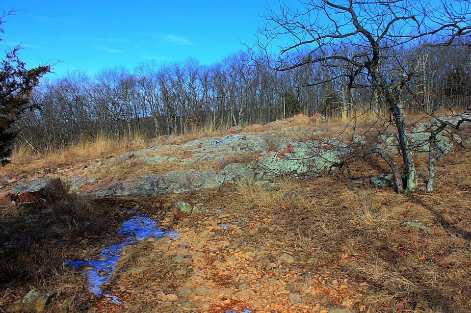 Gfp-missouri-taum-sauk-mountain-state-park-winter-forest