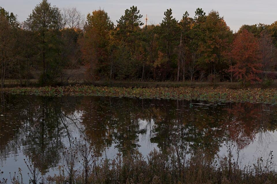 Blendon Woods-Walden Waterfowl Refuge in Fall 1