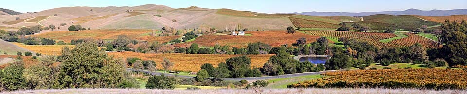 Napa Valley vineyards 8