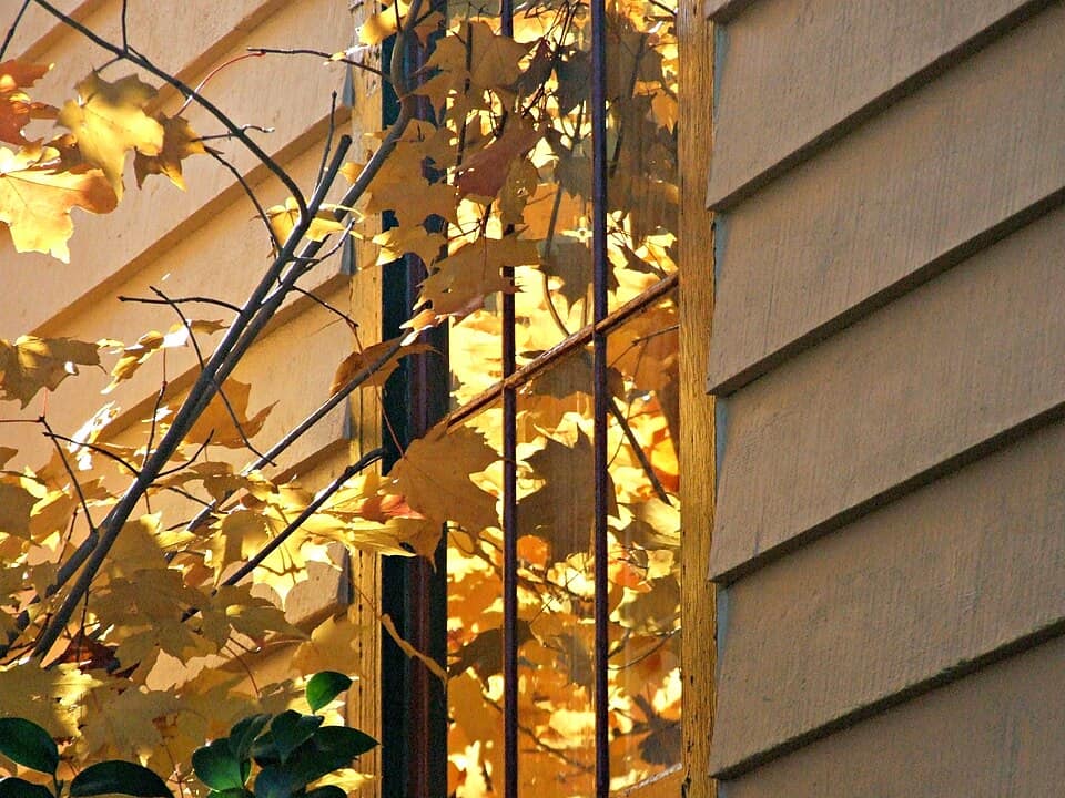 Fall color in Nevada City, California