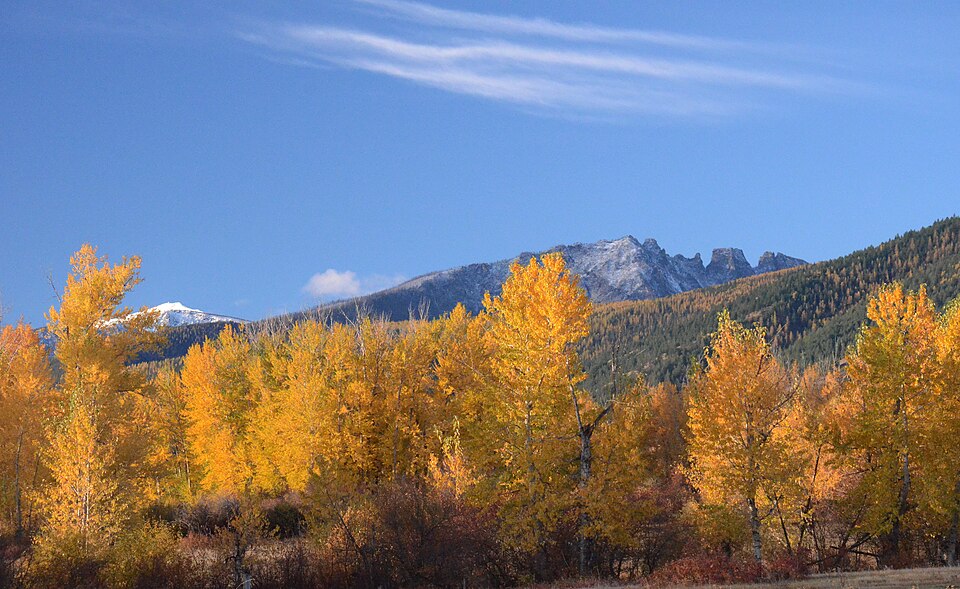 Npnht-fall-color-bitterroot-mountains-near-florence-montana-rogermpeterson-10222014-002 (15423403437)