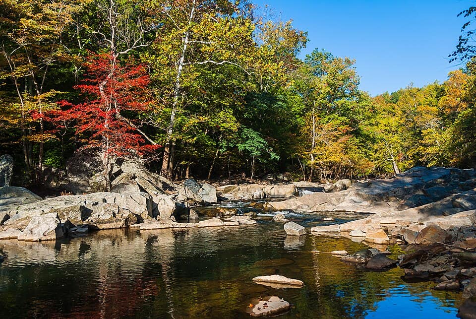 Great Falls Stream