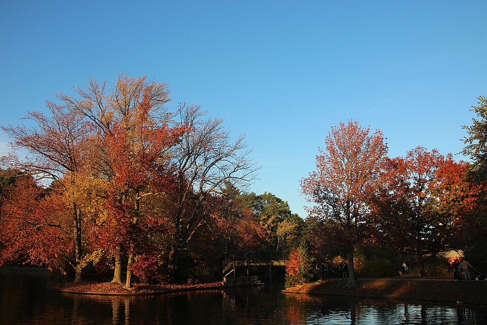 Roger Williams Park Swan Boat Pond, Providence, RI, in Autumn