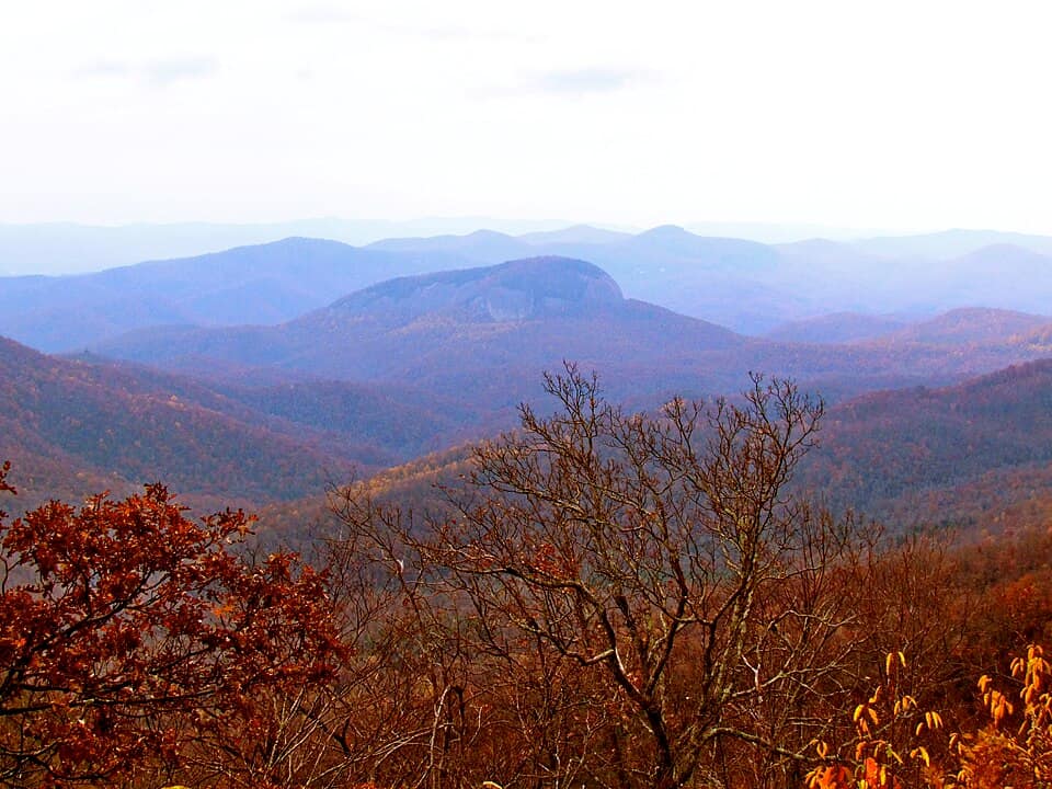 Pisgah National Forest