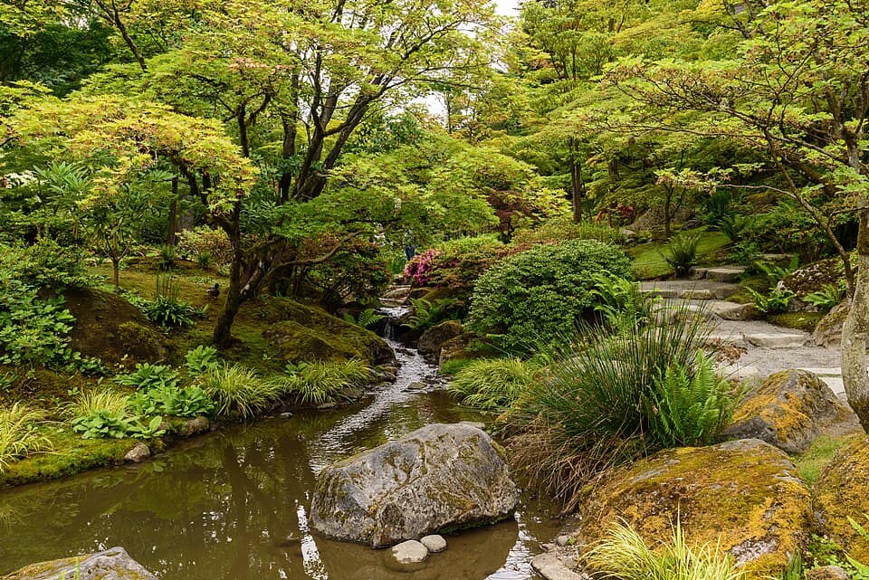Seattle Japanese Garden June 2018 005