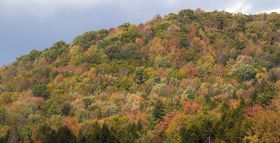 Multi-coloured hillside Vermont Route 100 (6236784393)