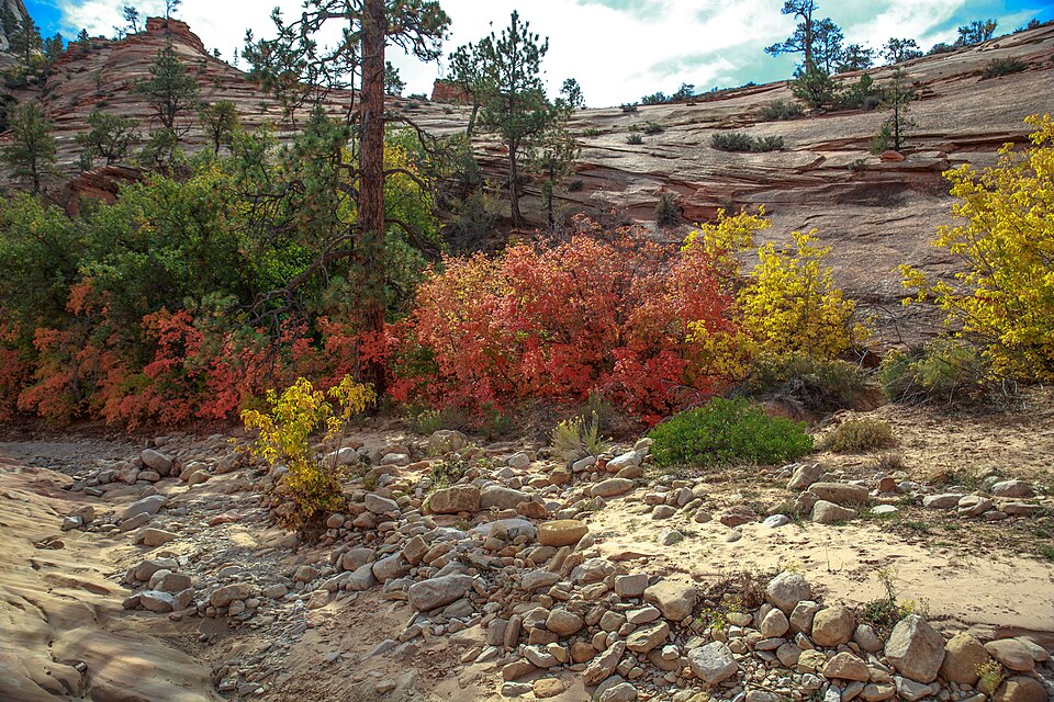 Autumn colours in SW Utah - a short visit to Zion Park on Hwy 9, Utah - (15467338379)