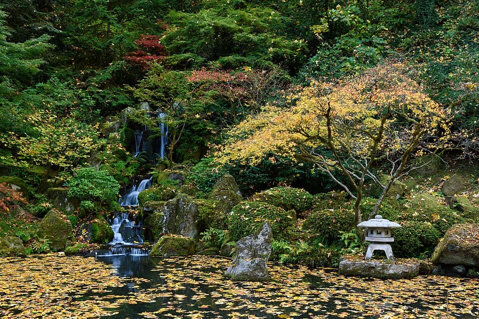 Portland Japanese Garden October 2019 005